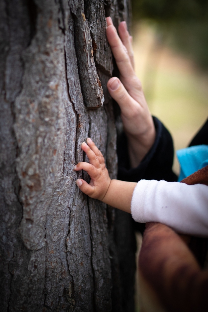 Photographe Reportage Evènementiel Peyrolle en Provence - LE LOUBATAS