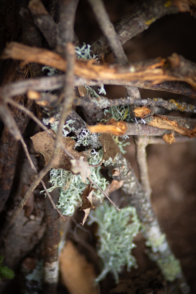 Photographe Reportage Evènementiel Peyrolle en Provence - LE LOUBATAS