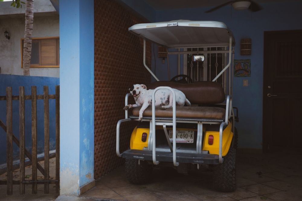 serie-welcome-to-paradise-004